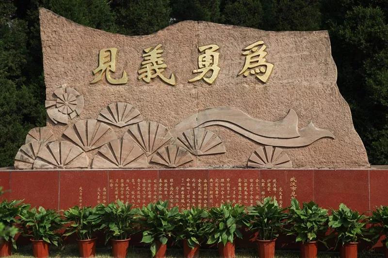 ng电子游戏(中国)官方网站