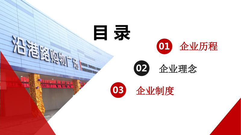 ng电子游戏(中国)官方网站