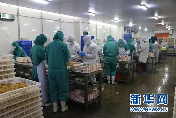 ng电子游戏(中国)官方网站