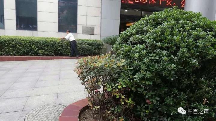 ng电子游戏(中国)官方网站