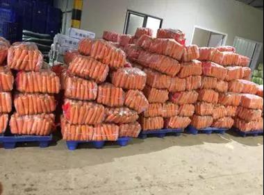 ng电子游戏(中国)官方网站