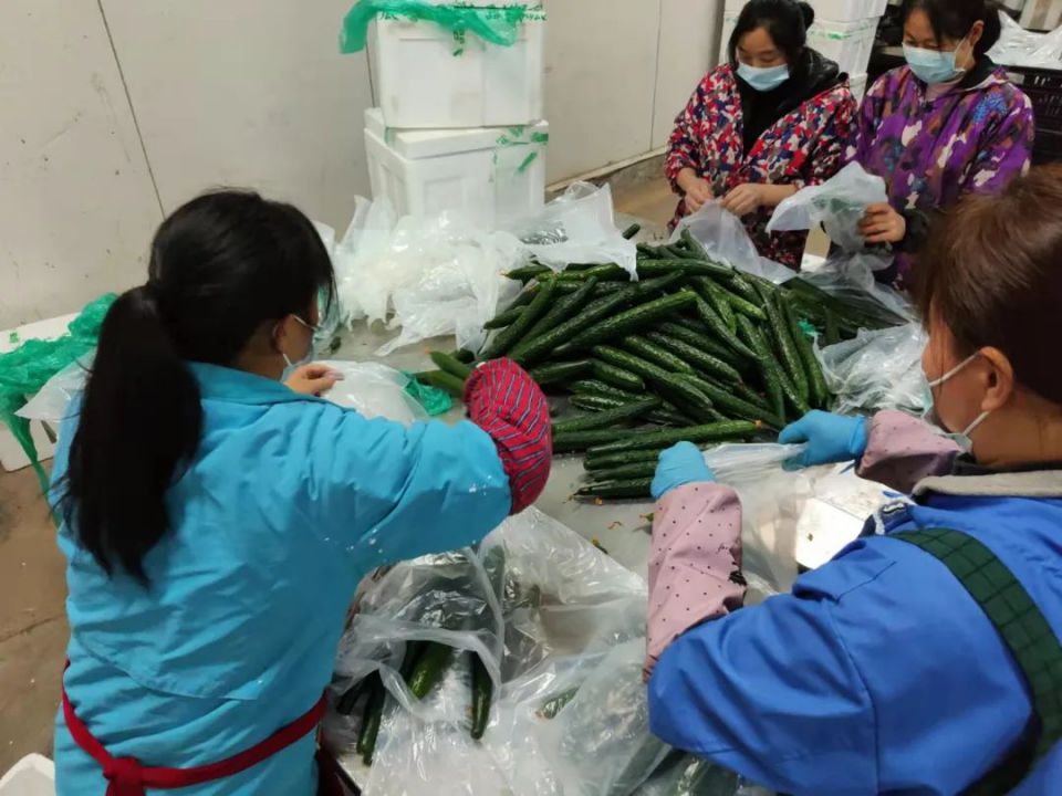 ng电子游戏(中国)官方网站