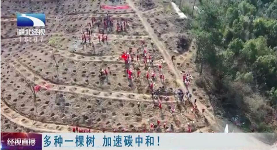 ng电子游戏(中国)官方网站