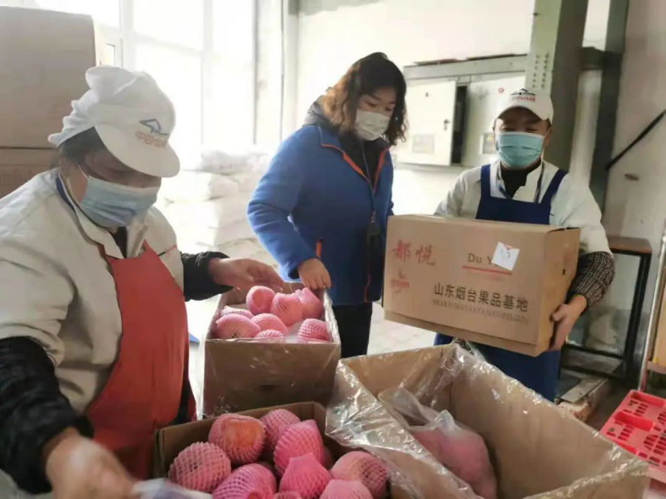 ng电子游戏(中国)官方网站