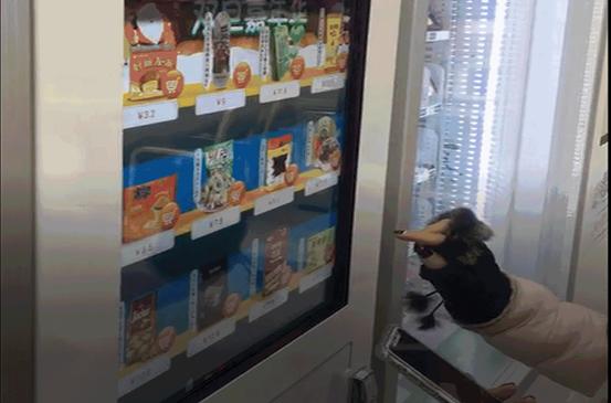 ng电子游戏(中国)官方网站