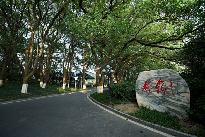 ng电子游戏(中国)官方网站