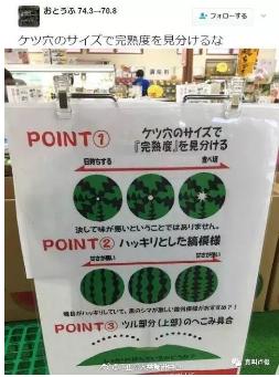 ng电子游戏(中国)官方网站