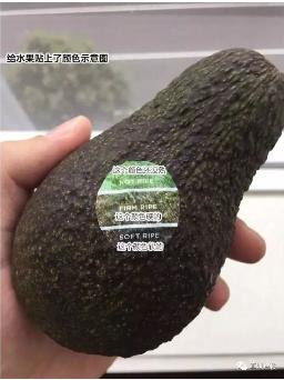 ng电子游戏(中国)官方网站