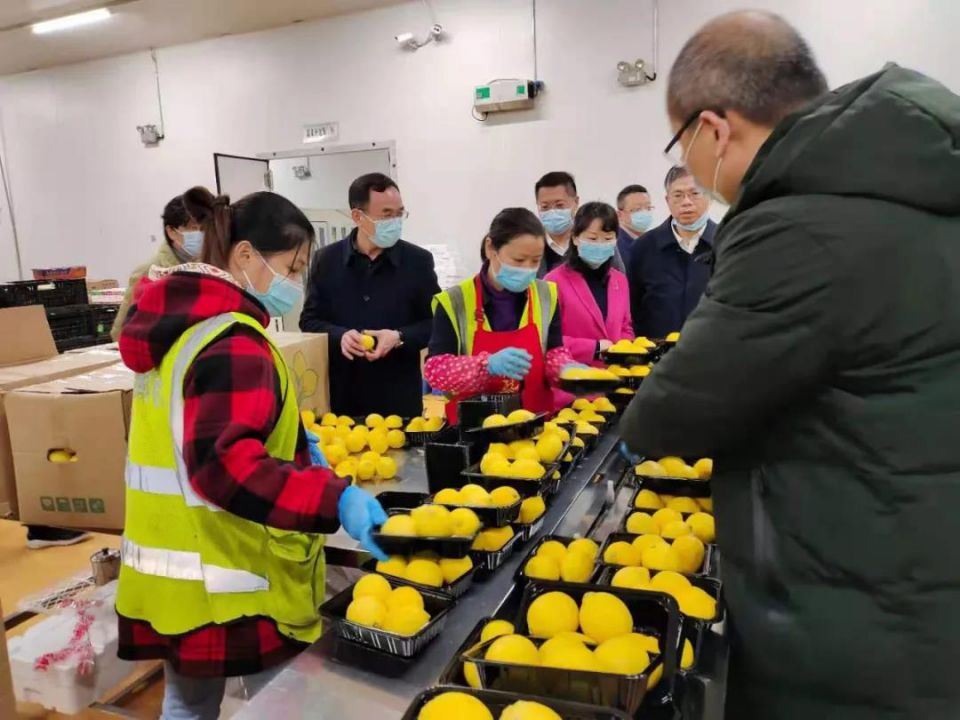 ng电子游戏(中国)官方网站