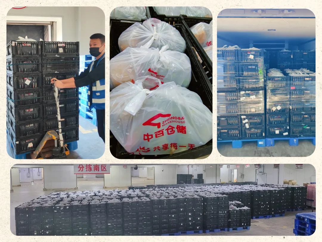 ng电子游戏(中国)官方网站