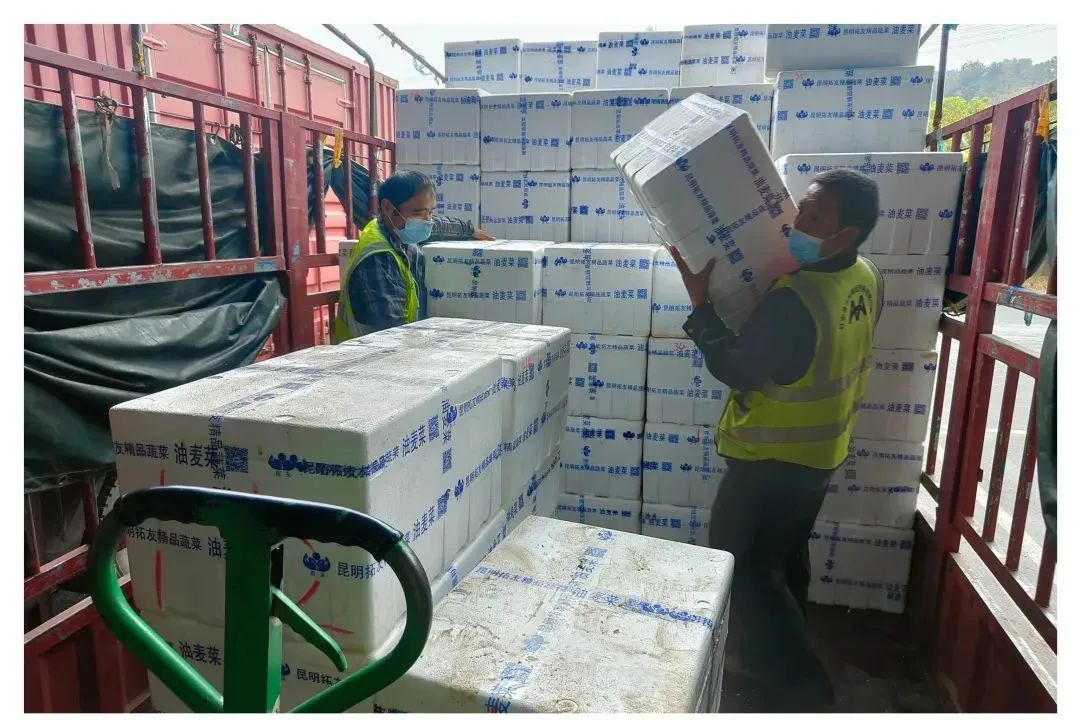 ng电子游戏(中国)官方网站