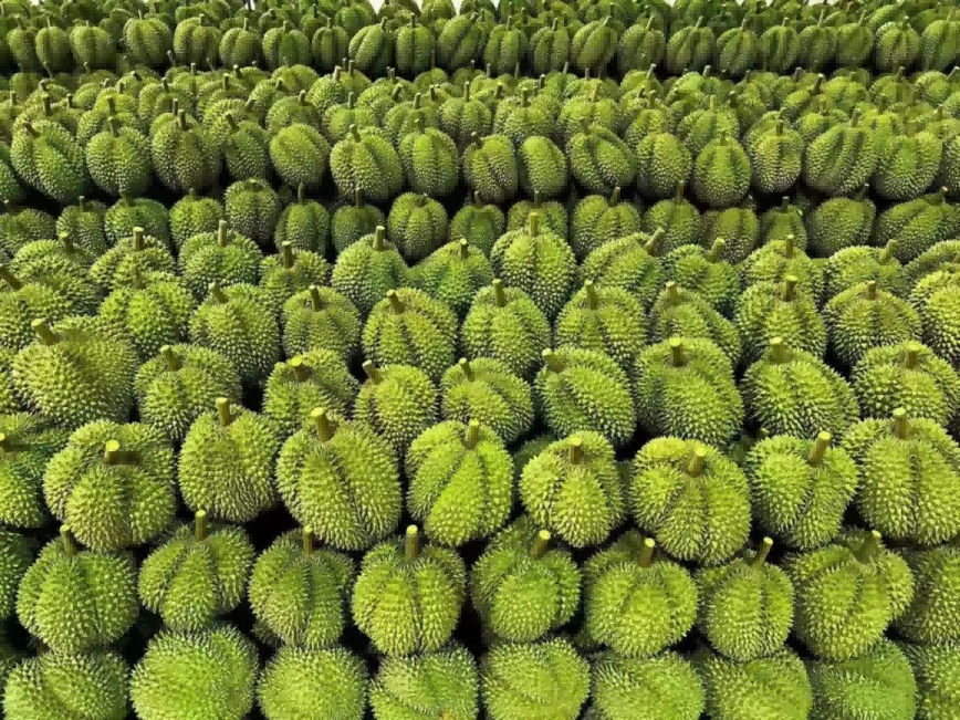 ng电子游戏(中国)官方网站