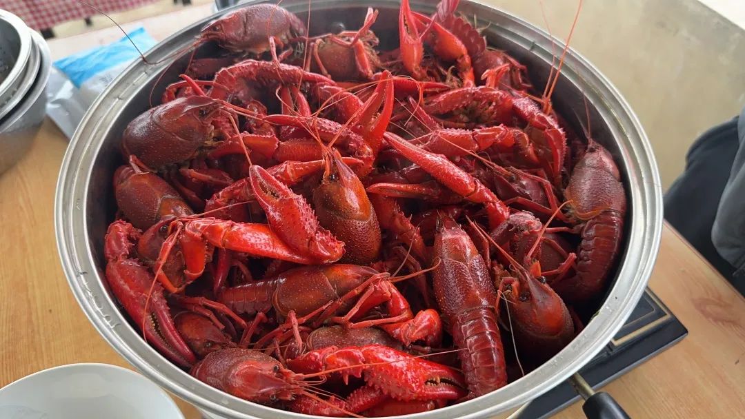 ng电子游戏(中国)官方网站