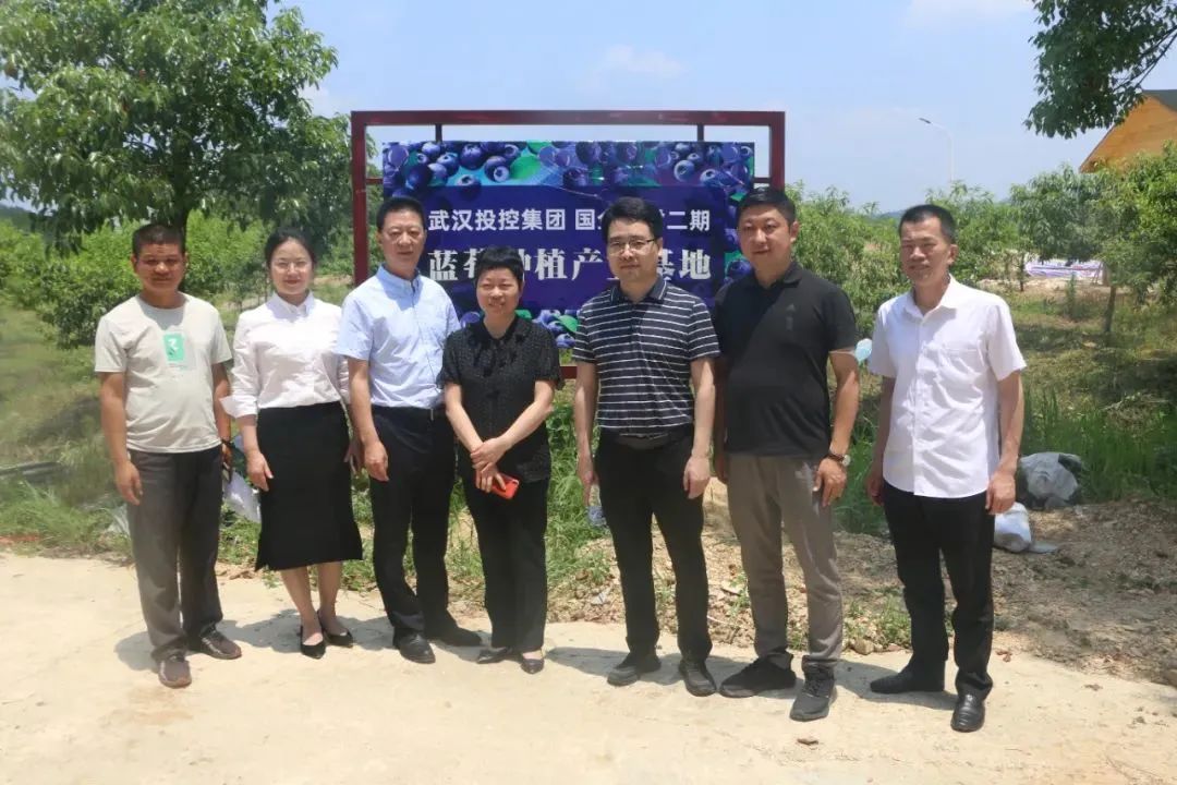 ng电子游戏(中国)官方网站