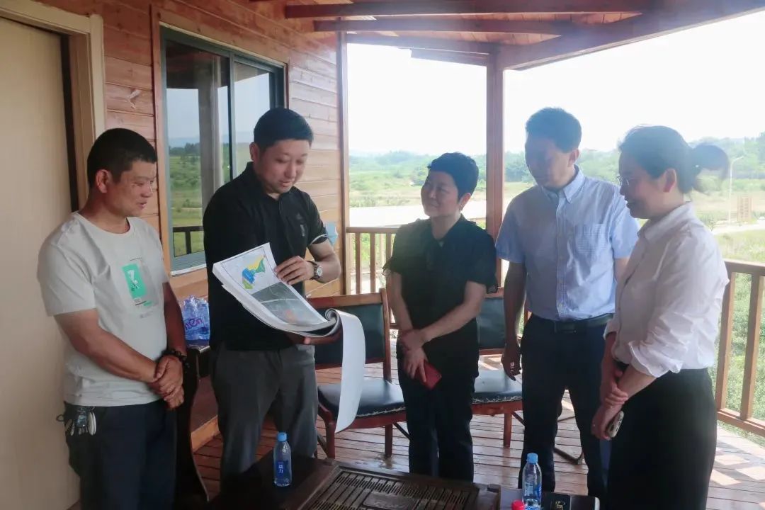 ng电子游戏(中国)官方网站