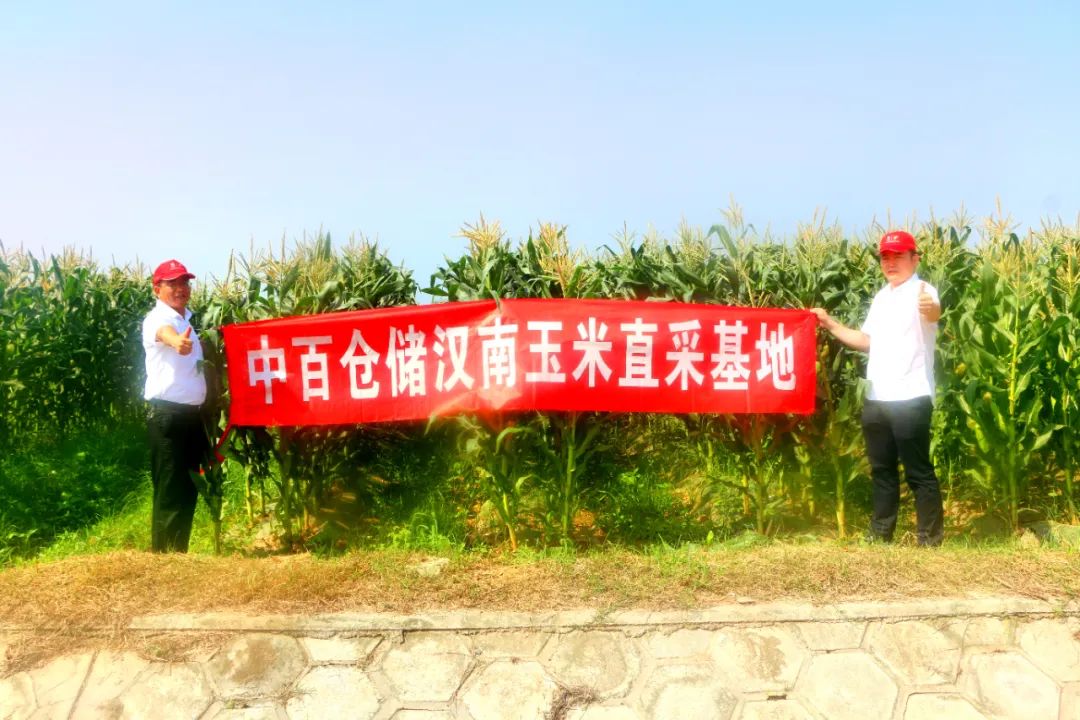 ng电子游戏(中国)官方网站