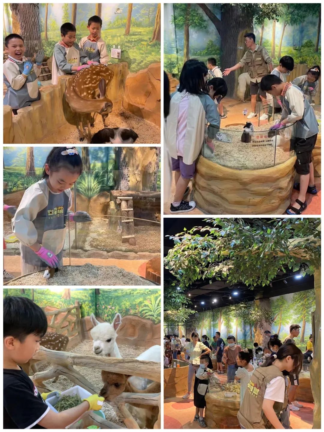 ng电子游戏(中国)官方网站