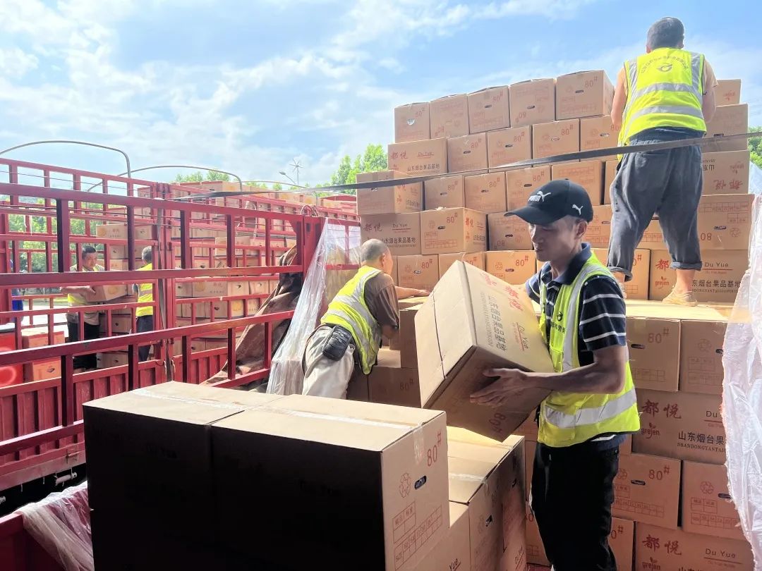 ng电子游戏(中国)官方网站