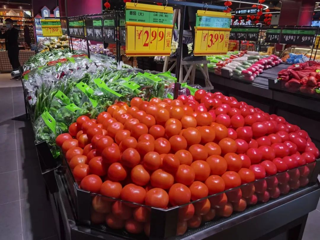 ng电子游戏(中国)官方网站