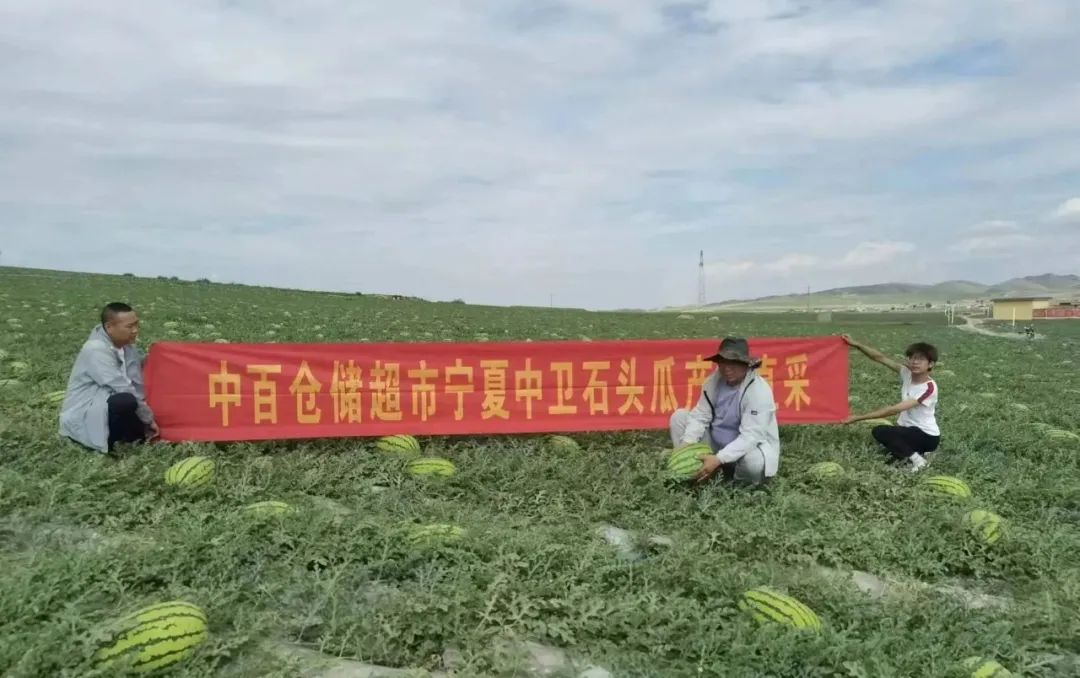 ng电子游戏(中国)官方网站