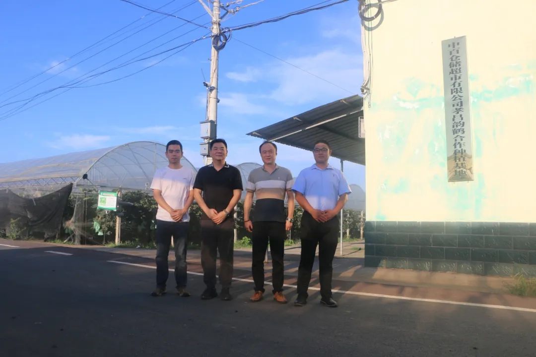 ng电子游戏(中国)官方网站