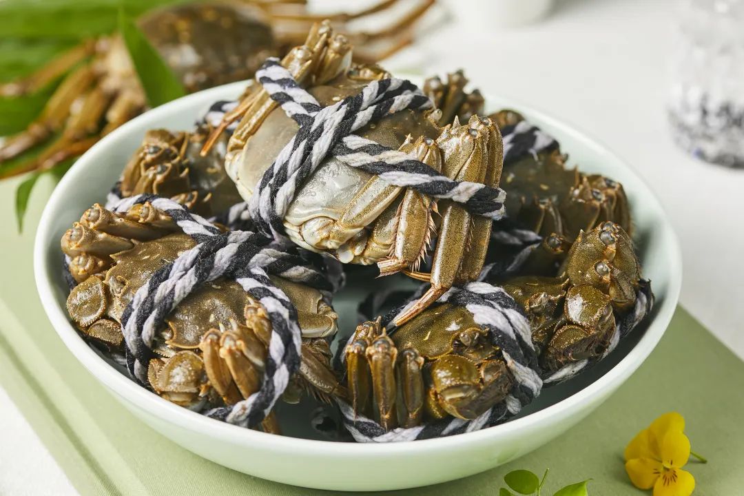 ng电子游戏(中国)官方网站