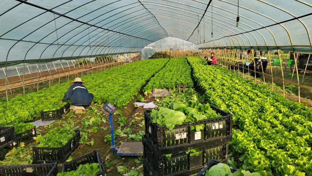 ng电子游戏(中国)官方网站