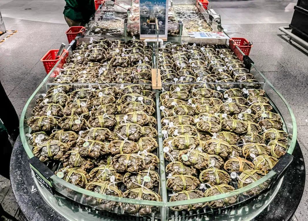 ng电子游戏(中国)官方网站