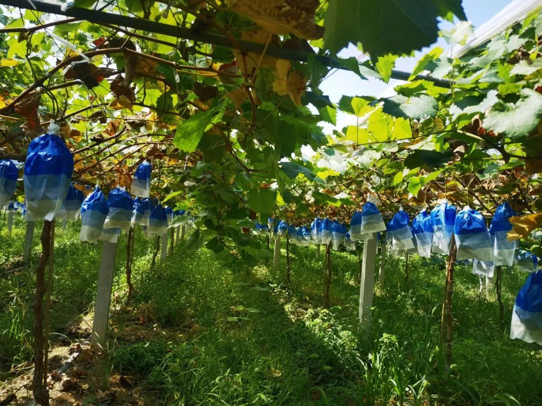 ng电子游戏(中国)官方网站