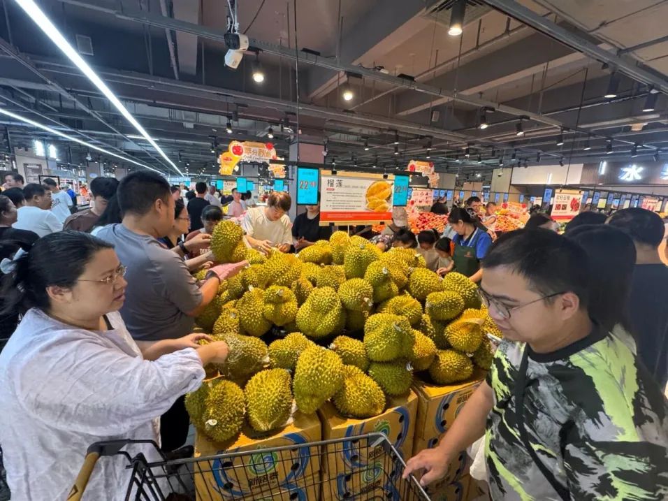 ng电子游戏(中国)官方网站