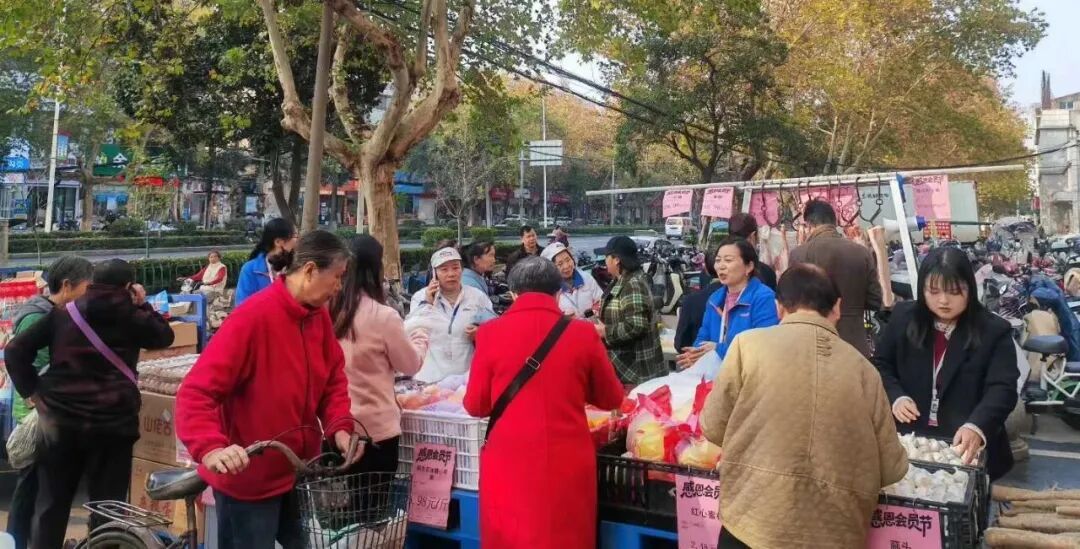 ng电子游戏(中国)官方网站