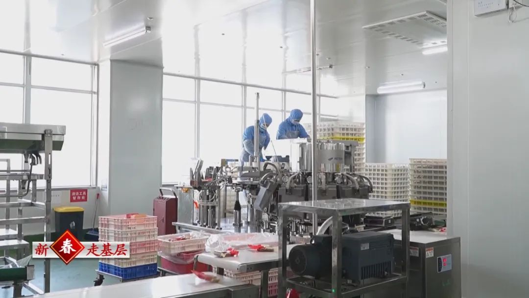 ng电子游戏(中国)官方网站