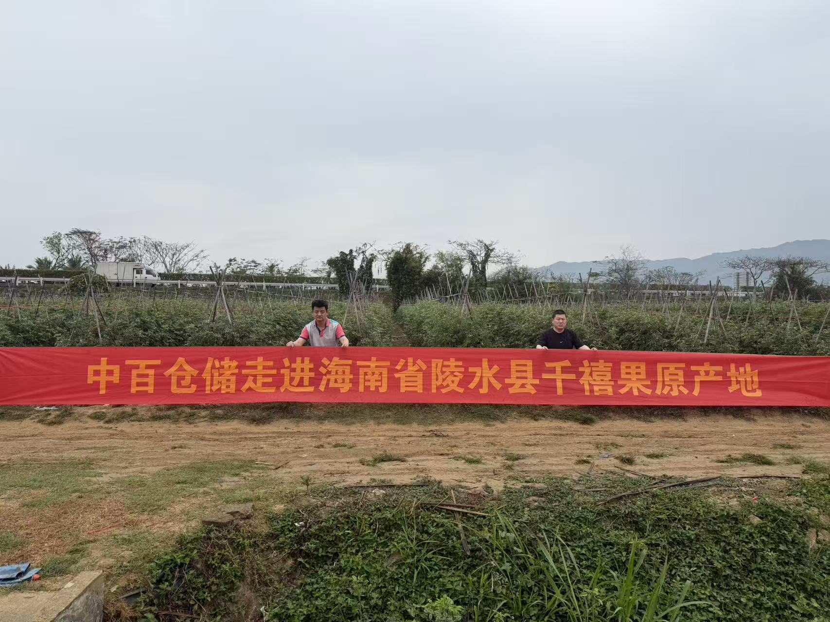 ng电子游戏(中国)官方网站