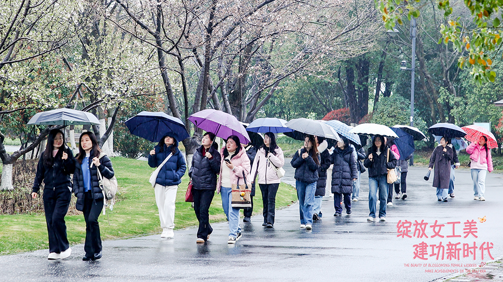 ng电子游戏(中国)官方网站