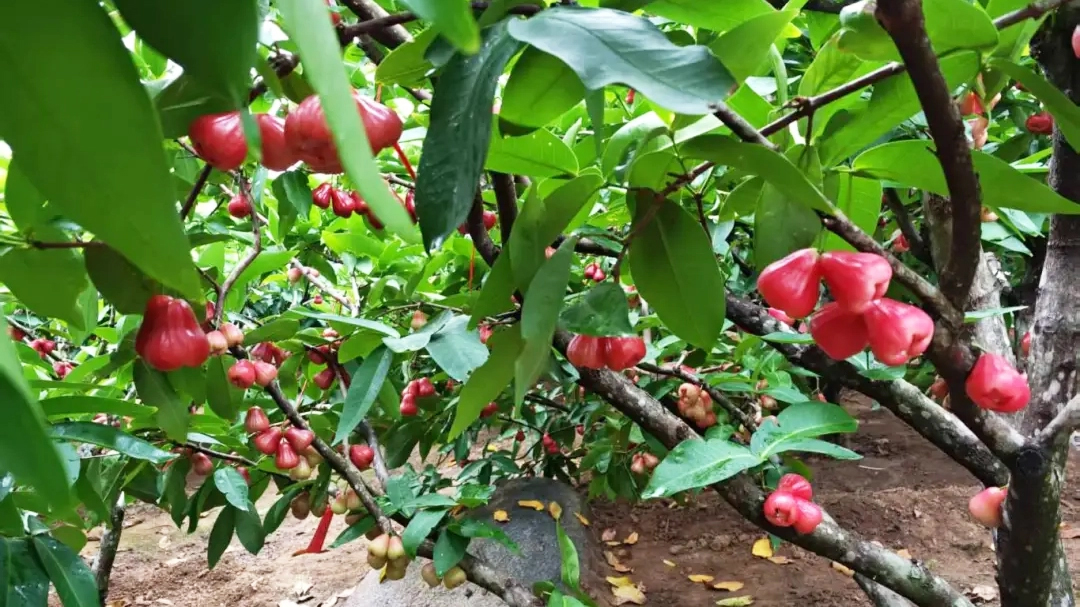 ng电子游戏(中国)官方网站